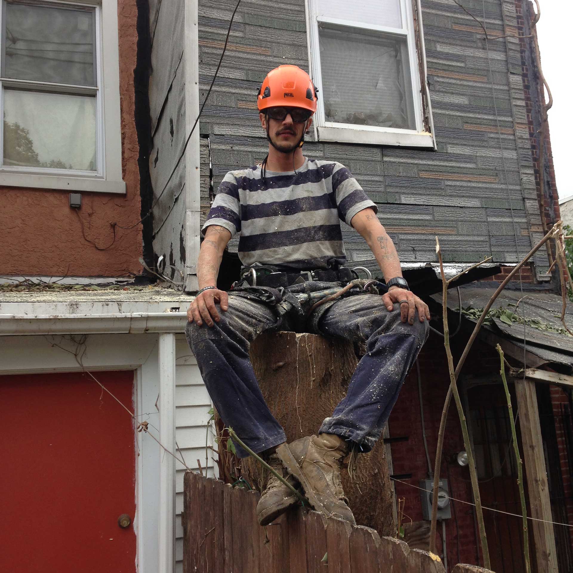 Urban tree removal